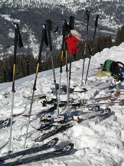 ski poles 16188 340