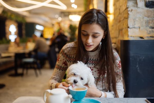 beautiful woman is holding her cute dog drinking coffee smiling cafe